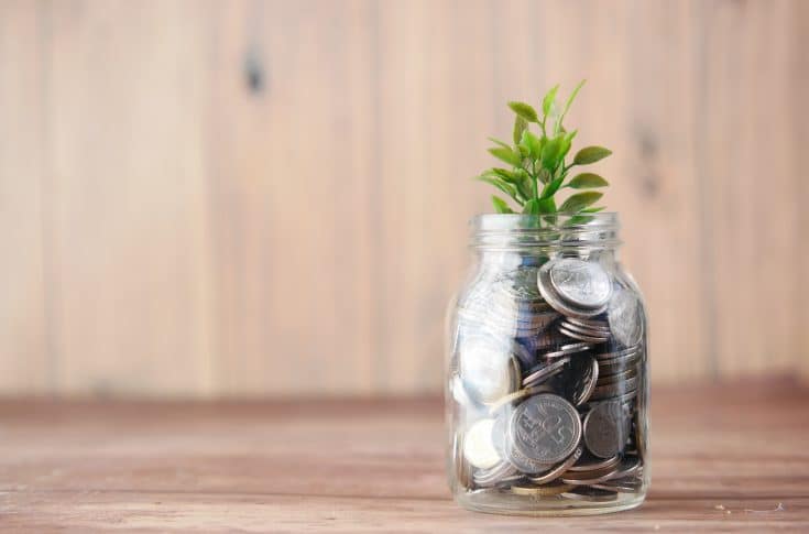 Coins in a glass jar with a plant at the top.