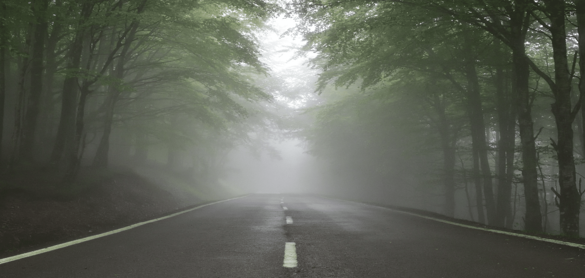 Decision-making in times of uncertainty